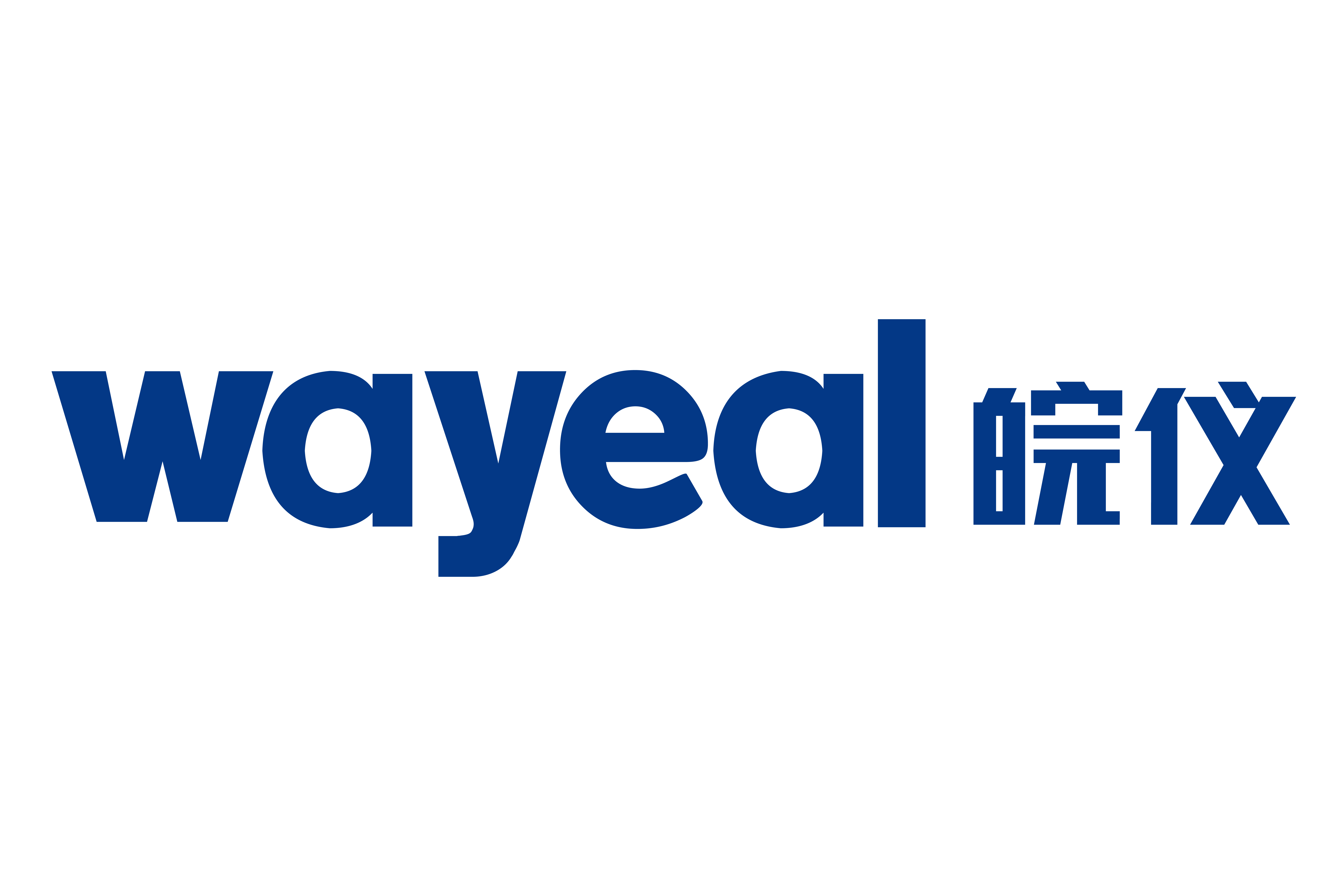 安徽皖儀科技股份有限公司